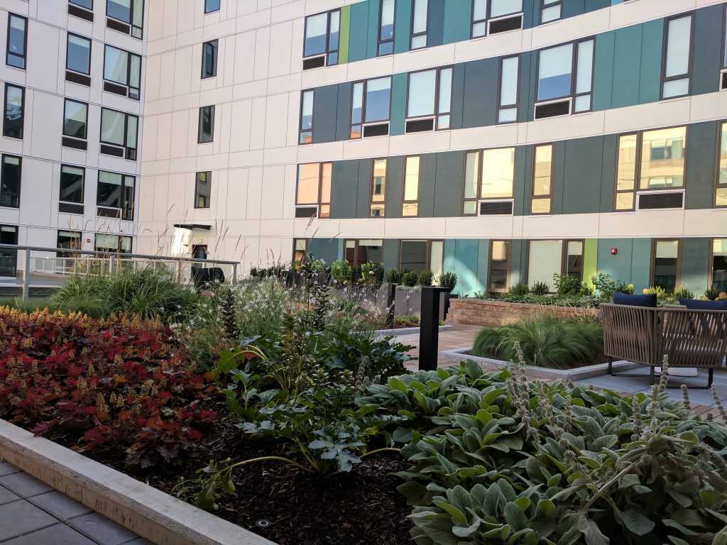 Garden above Aloft Seattle-Redmond, WA.