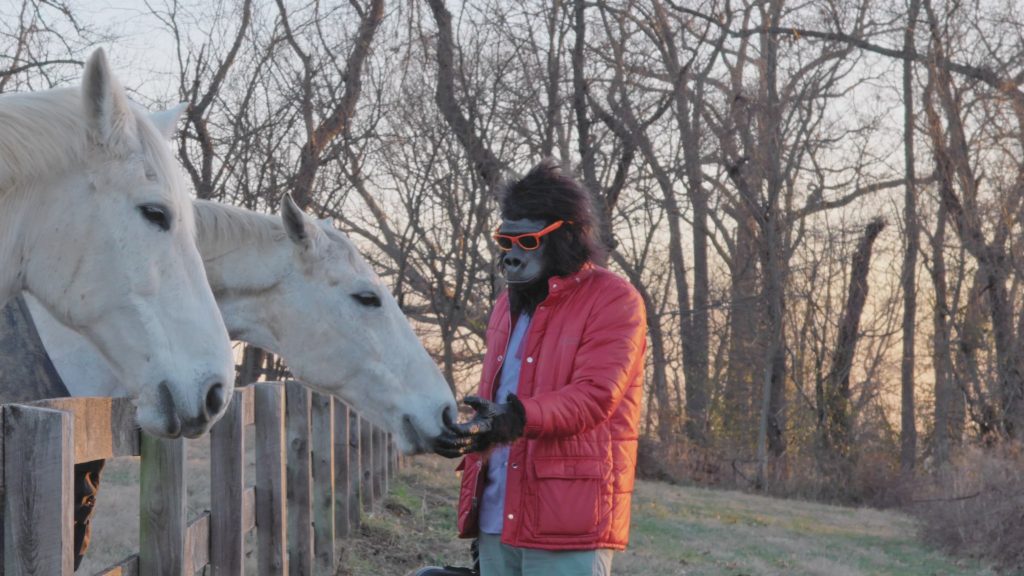 Sylvio tends to his Equine Amigos in 2017's Sylvio.