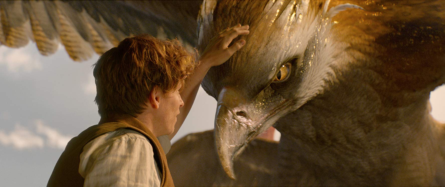 Newt and Thunderbird