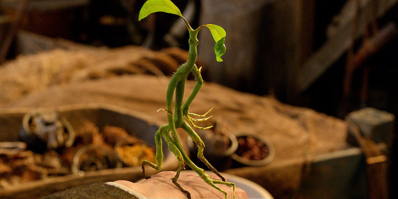 Pickett