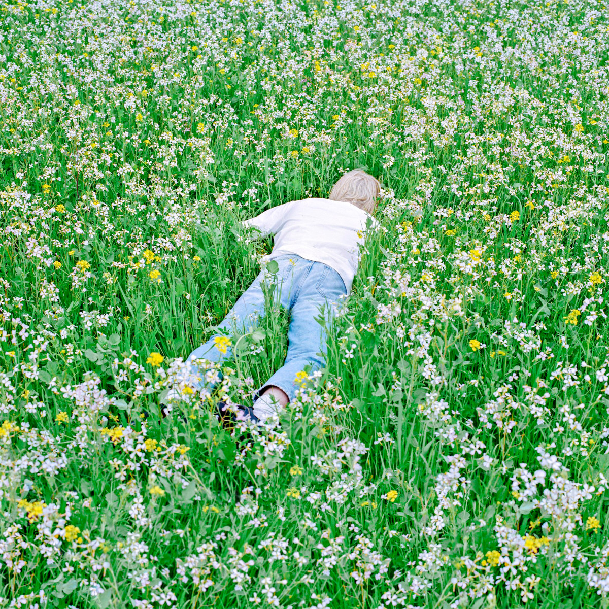 Album Cover for Porter Robinson's 2021 album Nurture